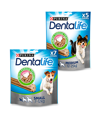 Chewy small breed dog food 2025