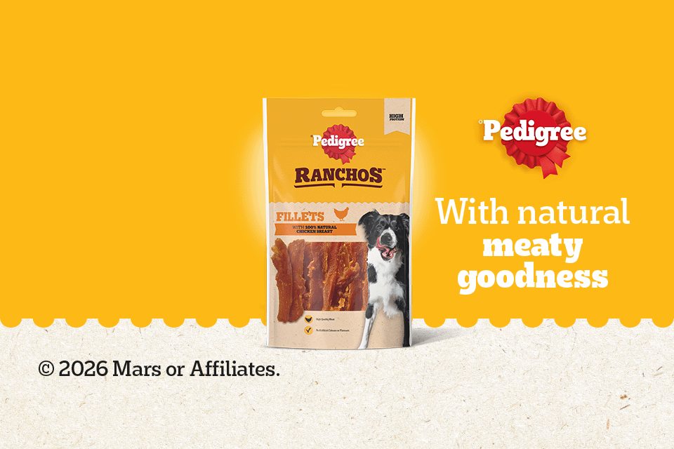 Image of variety of pedigree dog treats