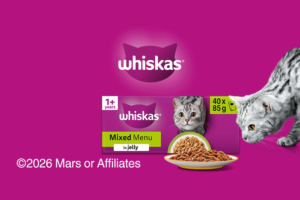 deals to whiskas 40 packs