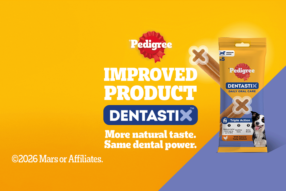 Image of a dog with Dentastix product.
