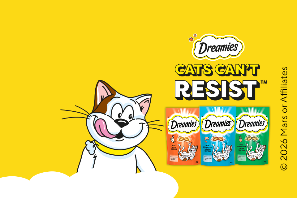 Yellow banner with Dreamies treats